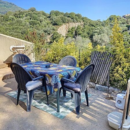Grand Appartement Spacieux A 5 Min Du Centre Ville 아작시오 외부 사진
